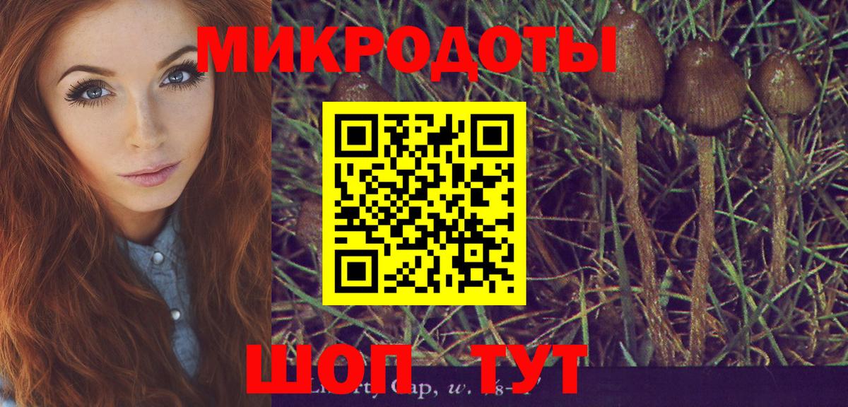 Галлюциногенные грибы ЛСД  Вход с VPN  Энгельс 