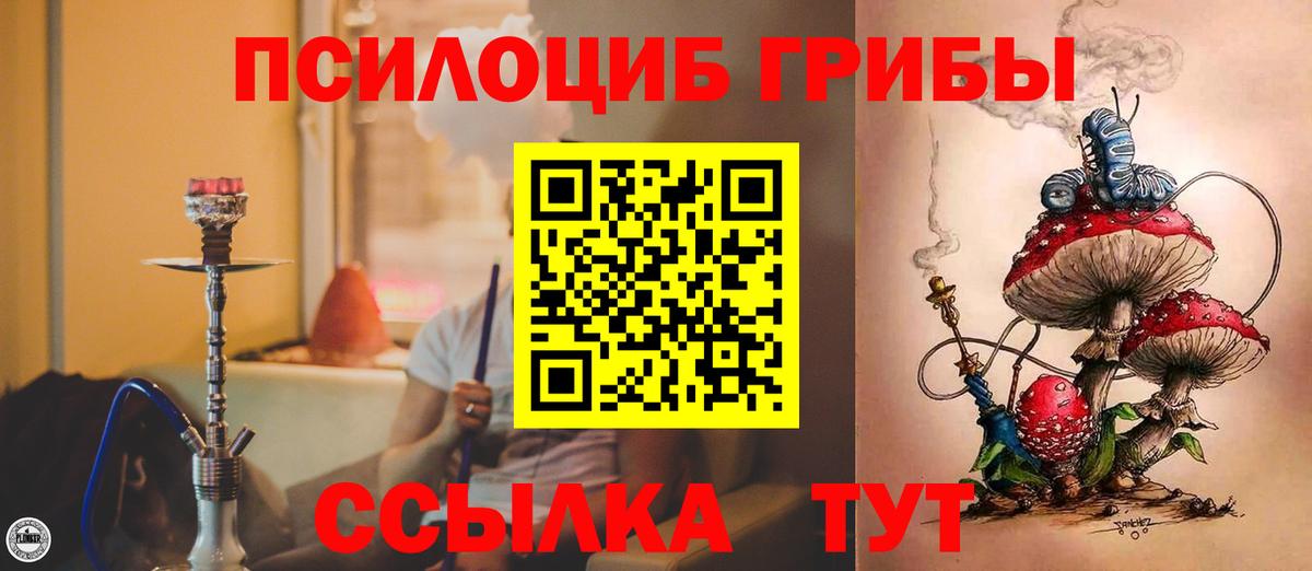 Псилоцибиновые грибы MAGIC MUSHROOMS  Энгельс 