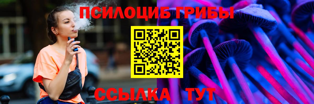 Галлюциногенные грибы Psilocybine cubensis Энгельс